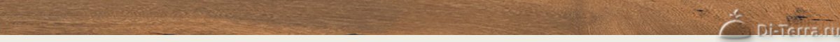 Lm 2554W Chenny Wood 1200×600